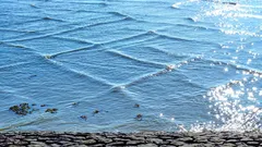 „Usterka w Matrixie”: na jeziorze Michigan zaobserwowano rzadkie kwadratowe fale