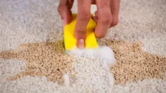 Dywan będzie jak nowy w 10 minut: skuteczny trik bez wytrzepywania kurzu i użycia odkurzacza