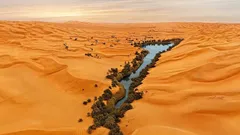 Pod najsuchszą pustynią na Ziemi, na głębokości 2 metrów, odkryto ukrytą „oazę”