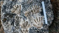 Naukowcy znaleźli odciski dłoni w odizolowanym miejscu – dlaczego nikt nie wie, kto je zostawił?