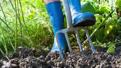 Ogród w marcu: 4 niezwykle ważne rzeczy, które trzeba zrobić do końca miesiąca