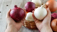 Niewiele osób o tym wie — oto najważniejsza różnica między białą a czerwoną cebulą