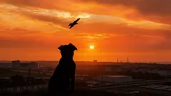 Psa porzucono na ulicy wraz z okrutną notatką: jej treść zasmuciła nawet wolontariuszy