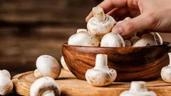 Przez tydzień pozostaną świeże: rolniczka zdradziła trik, który pomoże zachować świeżość grzybów