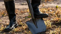 W kwietniu posyp ogród tym nawozem: gleba stanie się 10 razy żyźniejsza