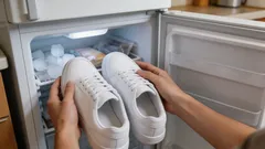 Po co wkładać używane trampki do zamrażarki – przydatny i prosty trik