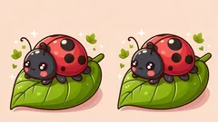 Test na spostrzegawczość: znajdź 3 różnice na obrazku z biedronką w 29 sekund