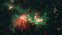 Teleskop Jamesa Webba po raz pierwszy ujawnił ukrytych mieszkańców niewidocznego regionu W51