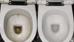 Pół szklanki tego roztworu, a toaleta będzie lśnić jak w hotelu – sekret sprzątacza